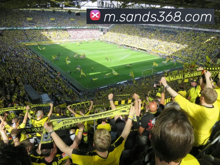 体育赛事